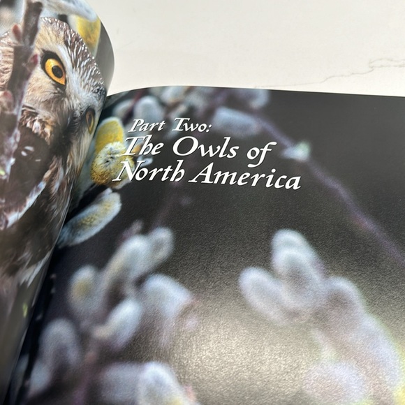 🌻4/$20 Vintage How to Spot An Owl Softcover 1994 Softcover Book Chapters Publ - Picture 7 of 16